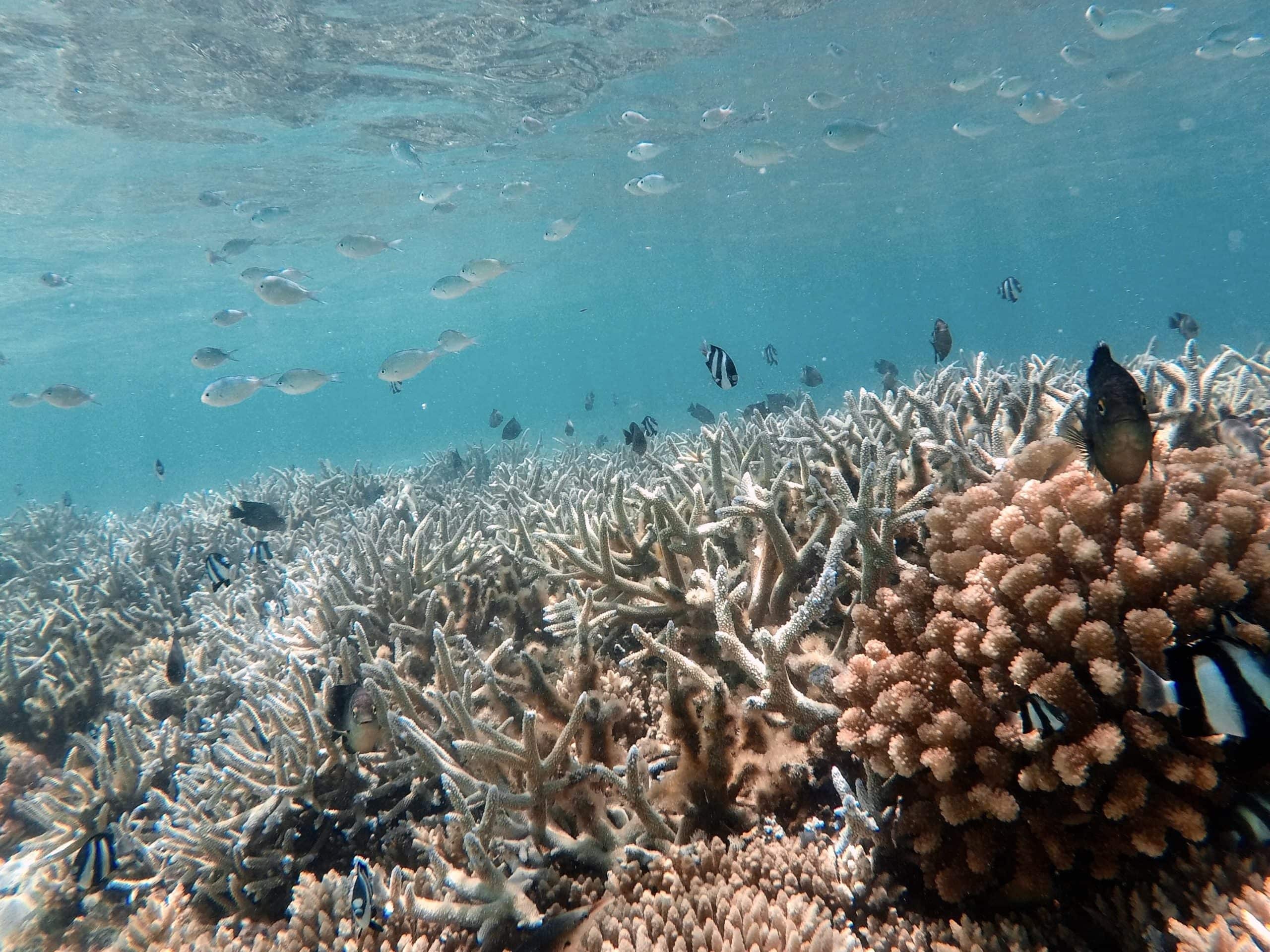 DCIM100GOPROGOPR7401.JPG